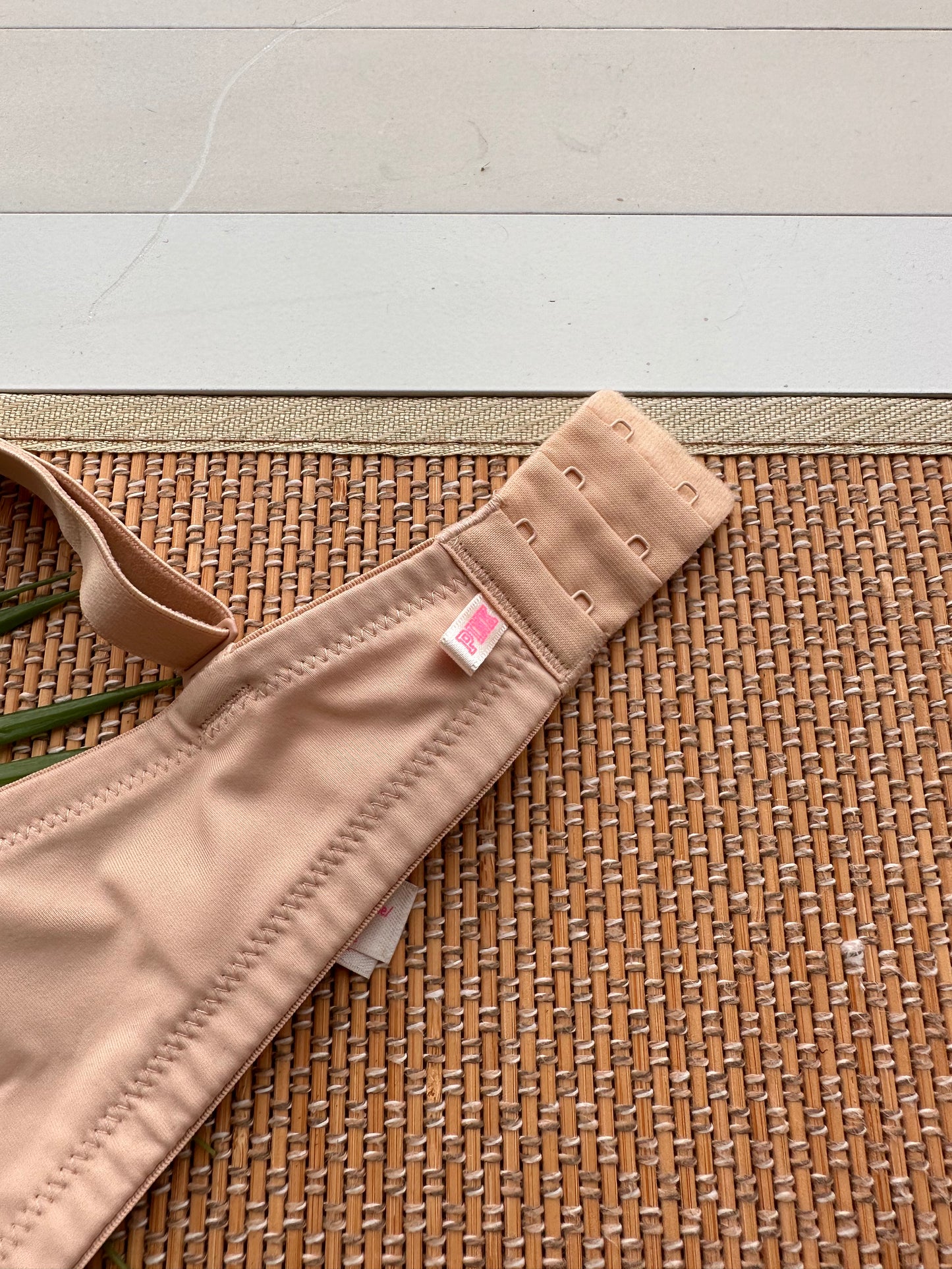 VS Nude Plunge Pushup Bra