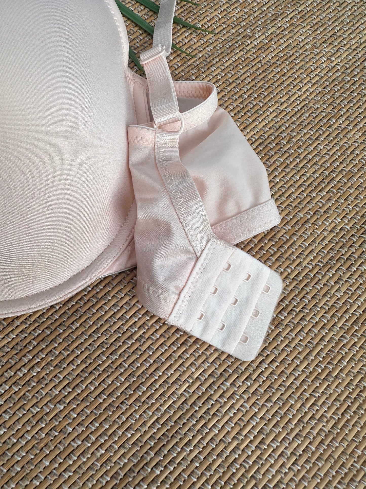 NY Peach Tshirt Plus Size Bra