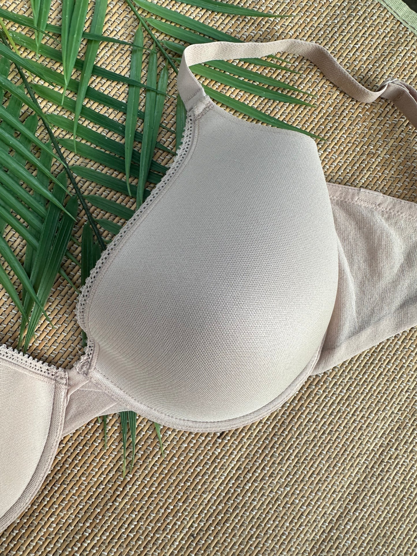 OG Nude Mesh Tshirt Bra