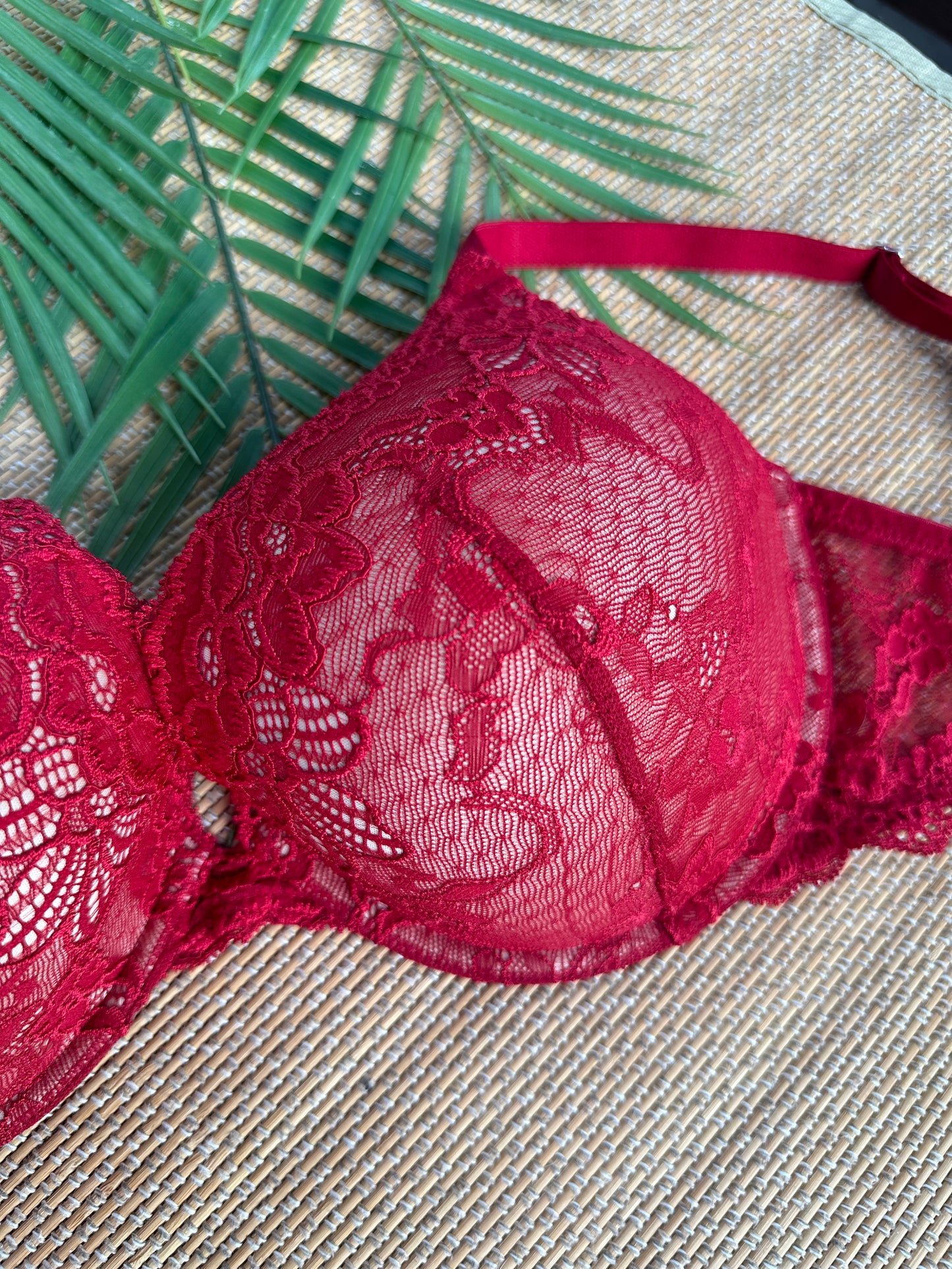 PS Red Lace Tshirt Bra