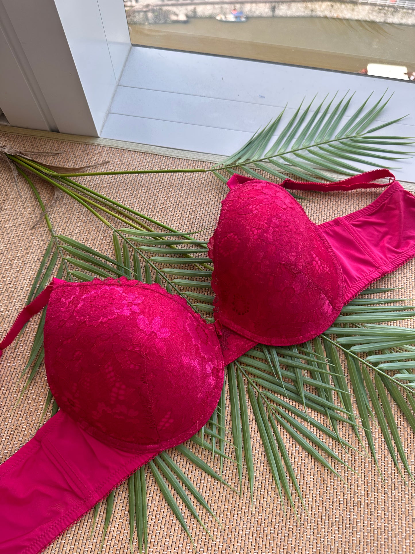Raspberry Lace Tshirt Plus Size Bra