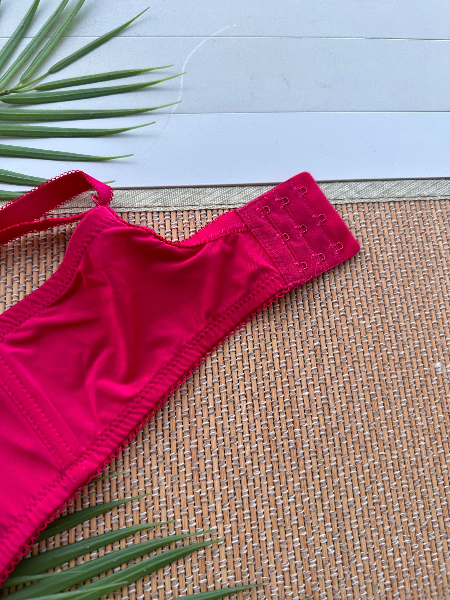 Raspberry Lace Tshirt Plus Size Bra