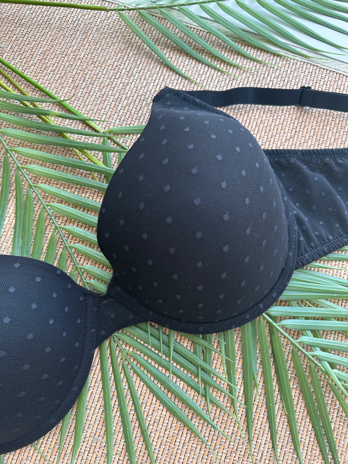 AO Polka Black Lace Plus Size Bra