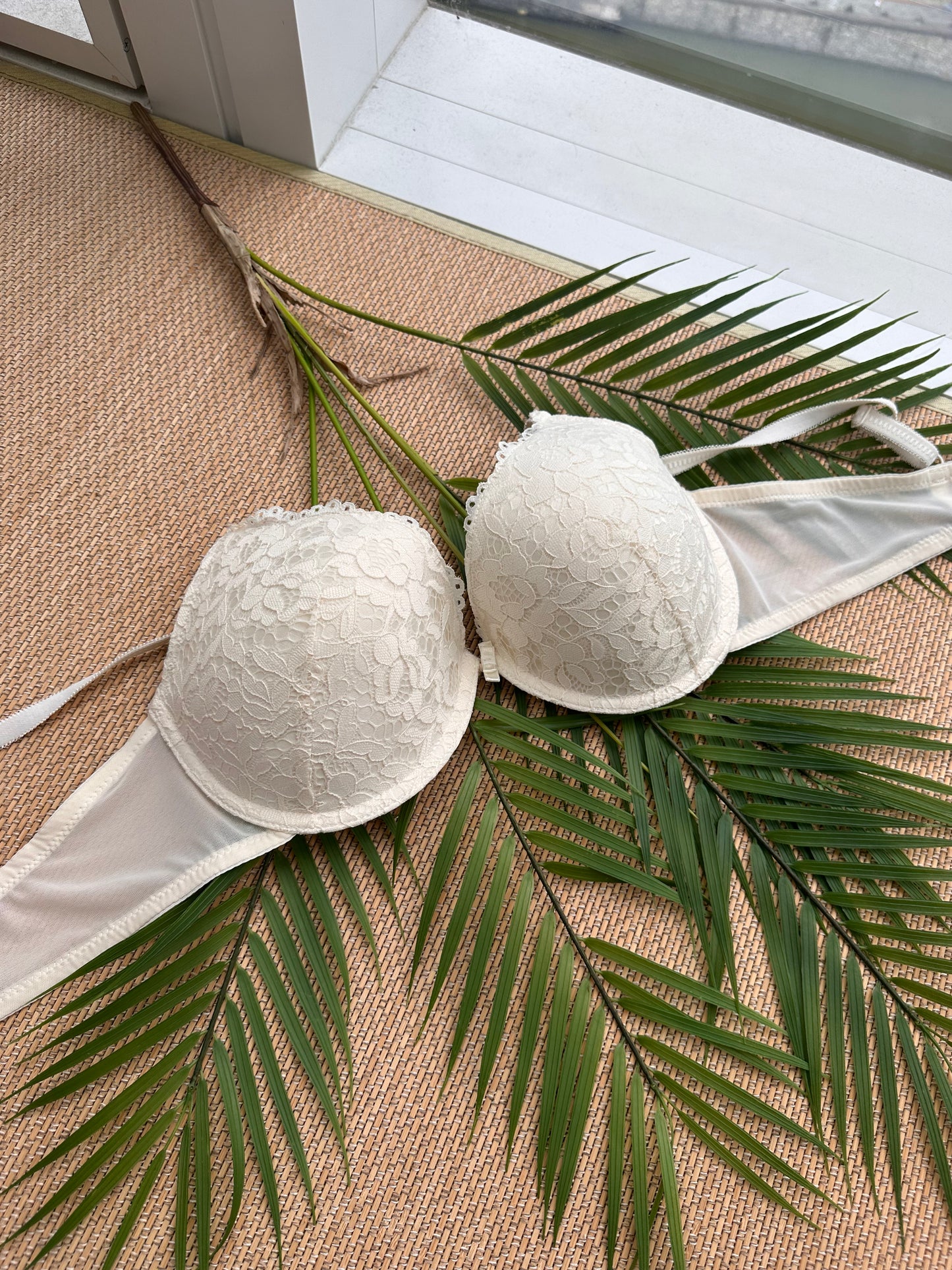 RT Cream Lace Plunge Tshirt Plus Size Bra
