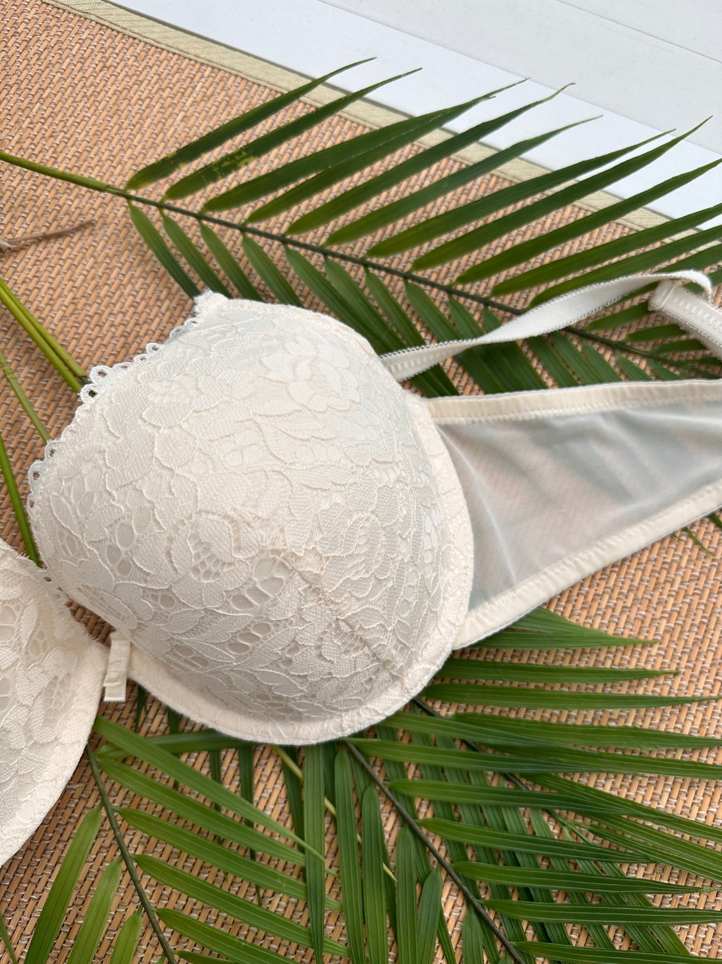 RT Cream Lace Plunge Tshirt Plus Size Bra