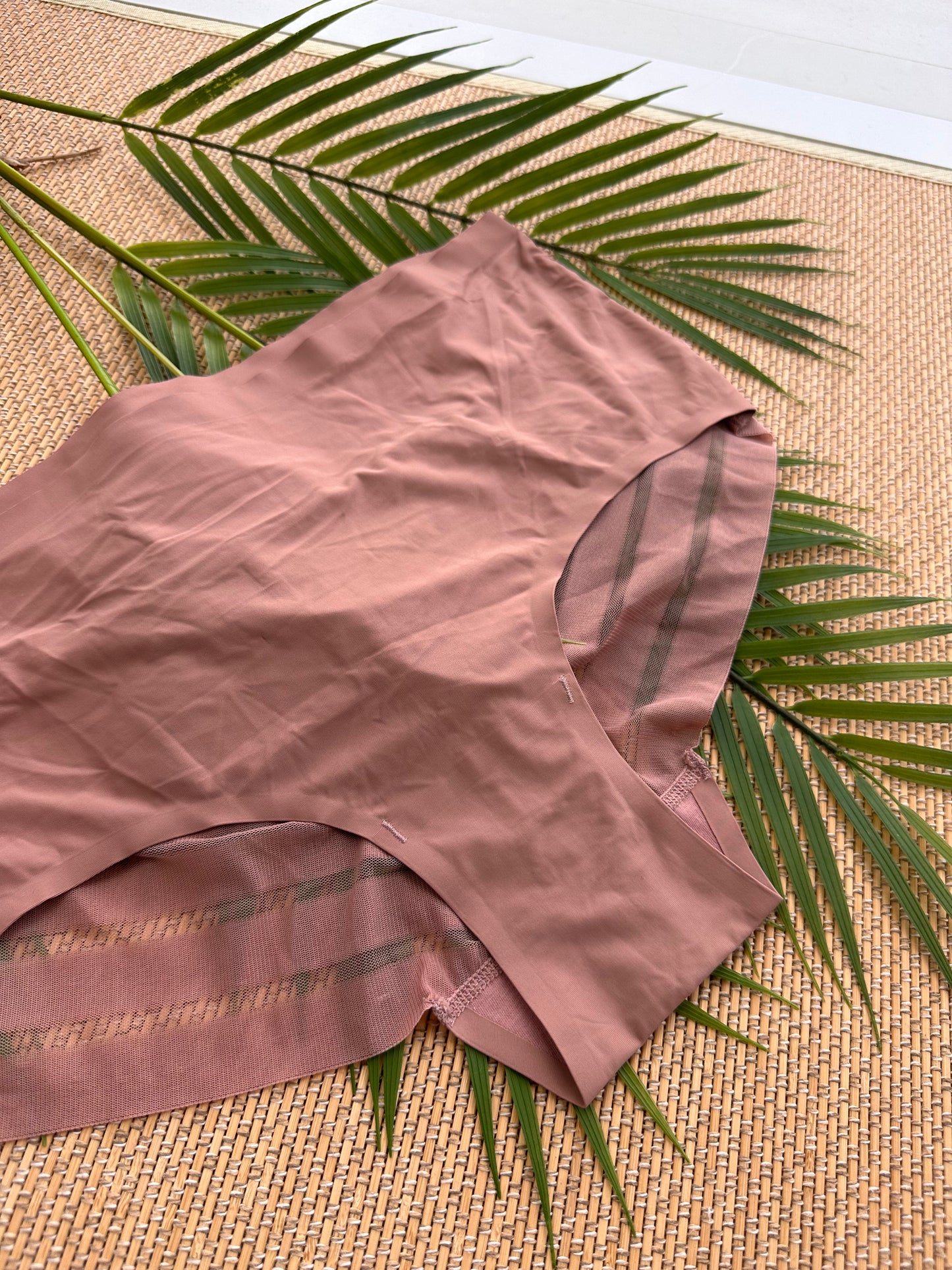 AO Nude Seamless Smoothing Plus Size Panty