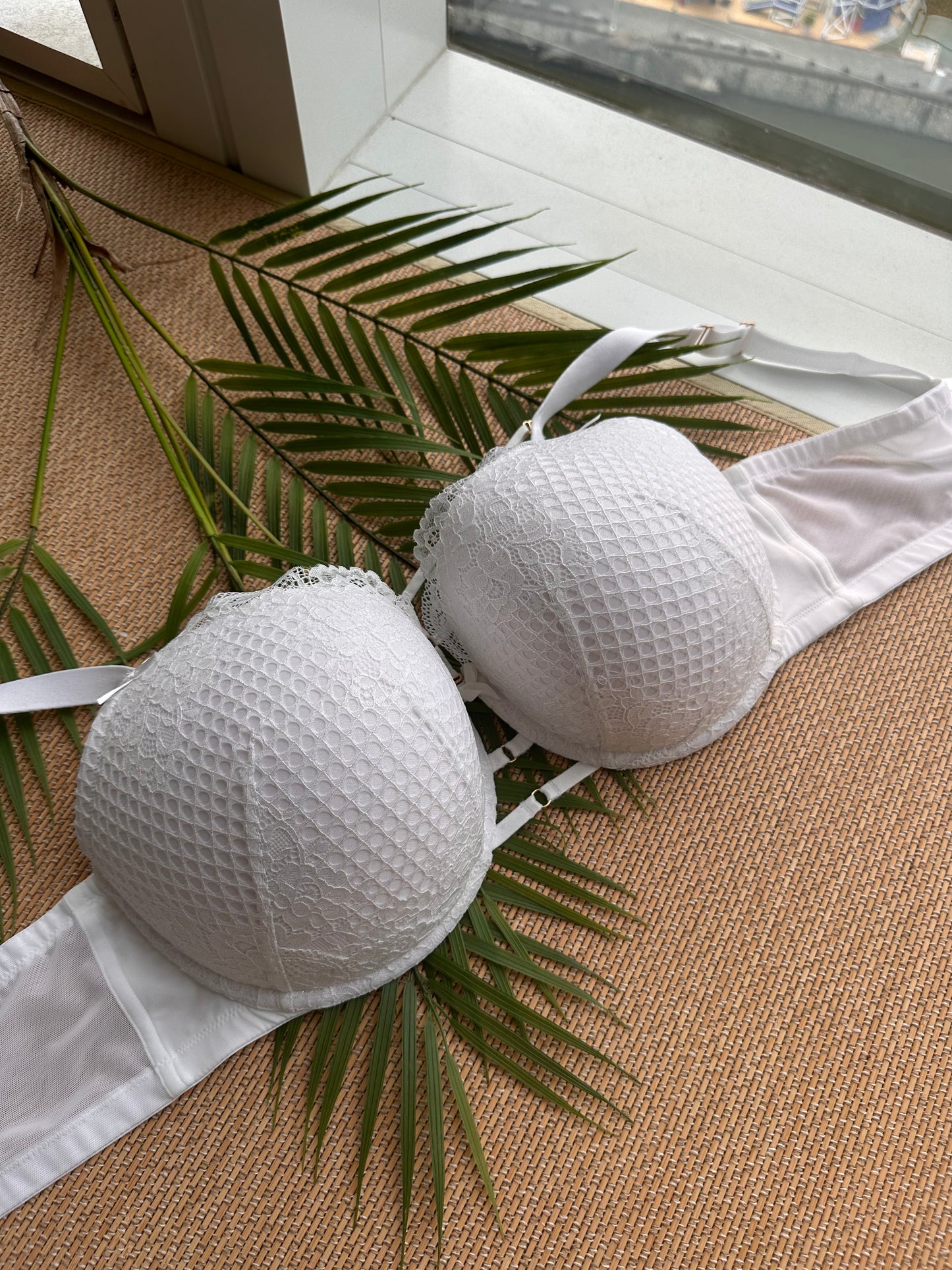 CC White Mesh Lace Tshirt Bra