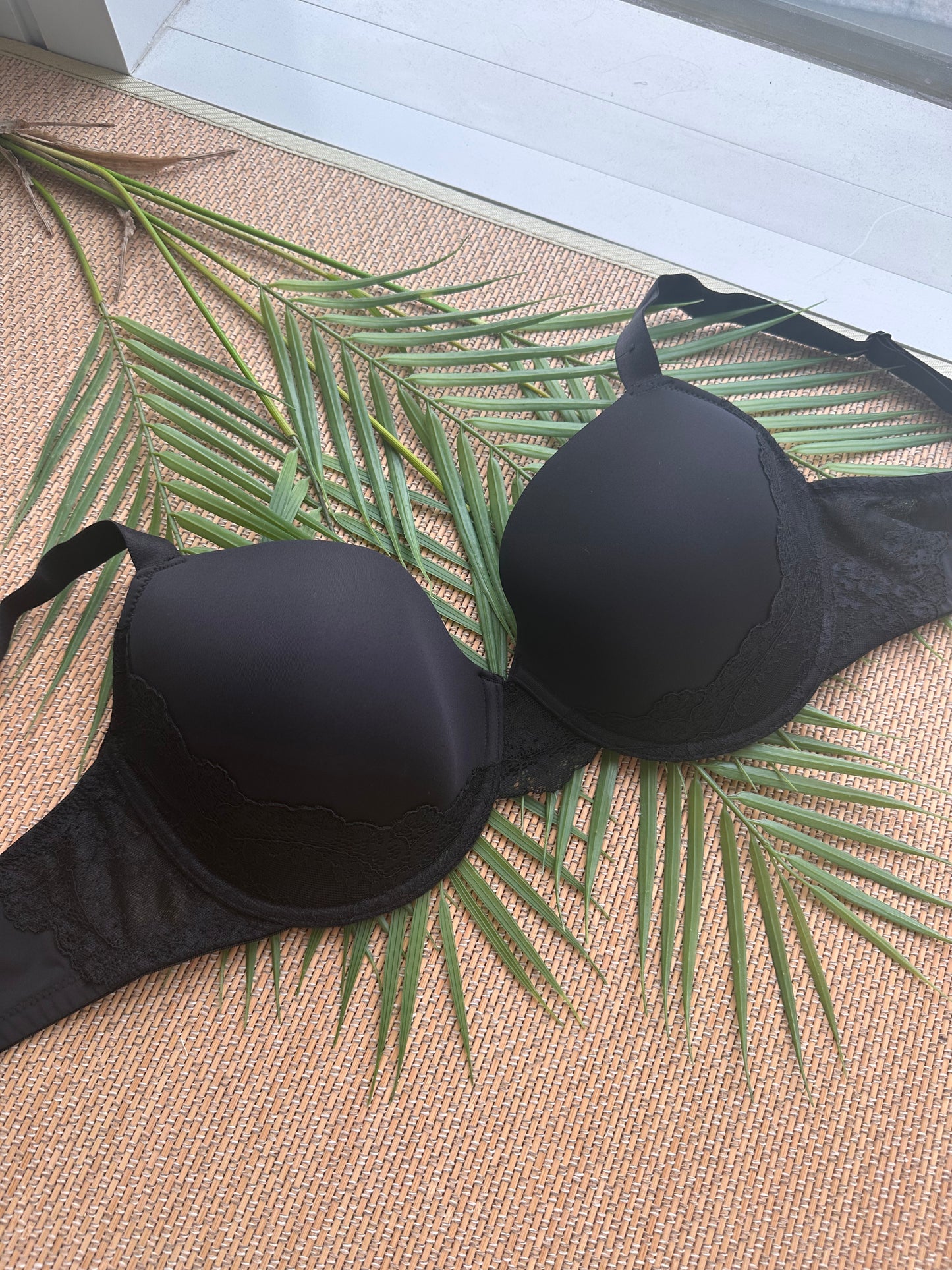 Black Lace Trim Tshirt Plus Size Bra