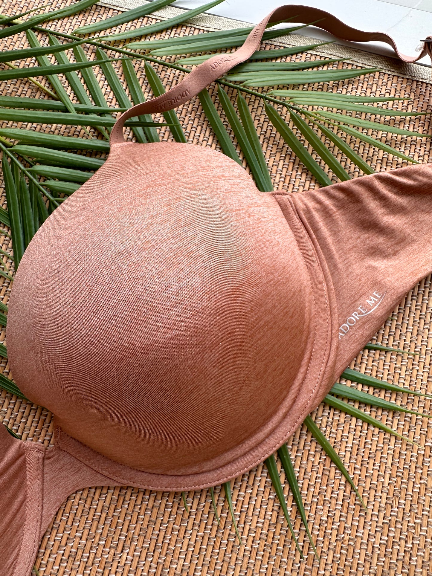 AM Nude Plunge Pushup Bra