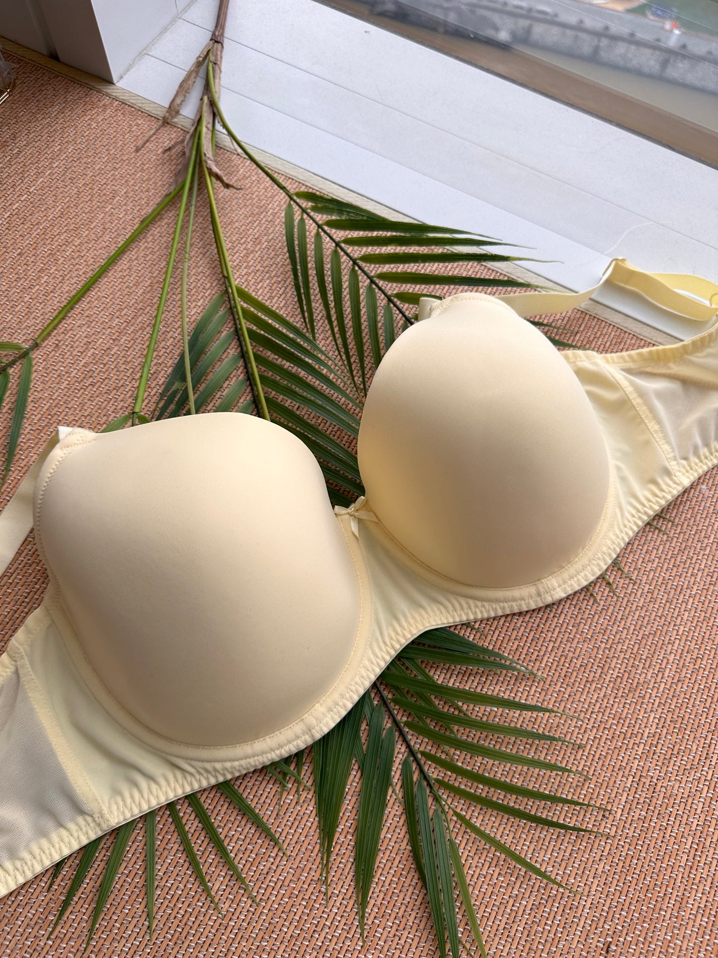 MS Buttercup 100% Cotton Tshirt Plus Size Bra