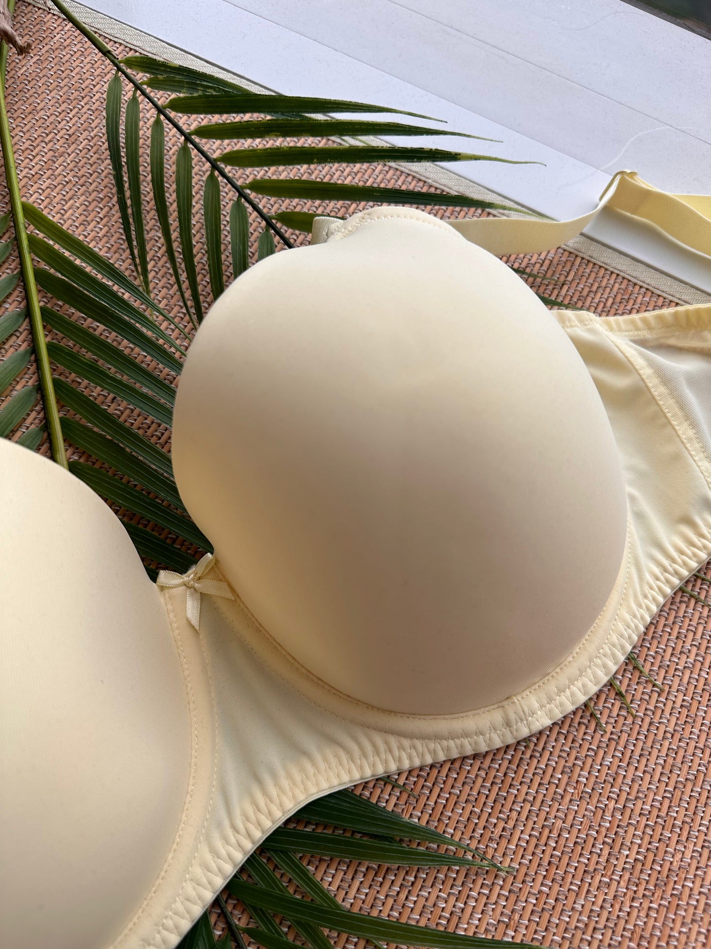 MS Buttercup 100% Cotton Tshirt Plus Size Bra