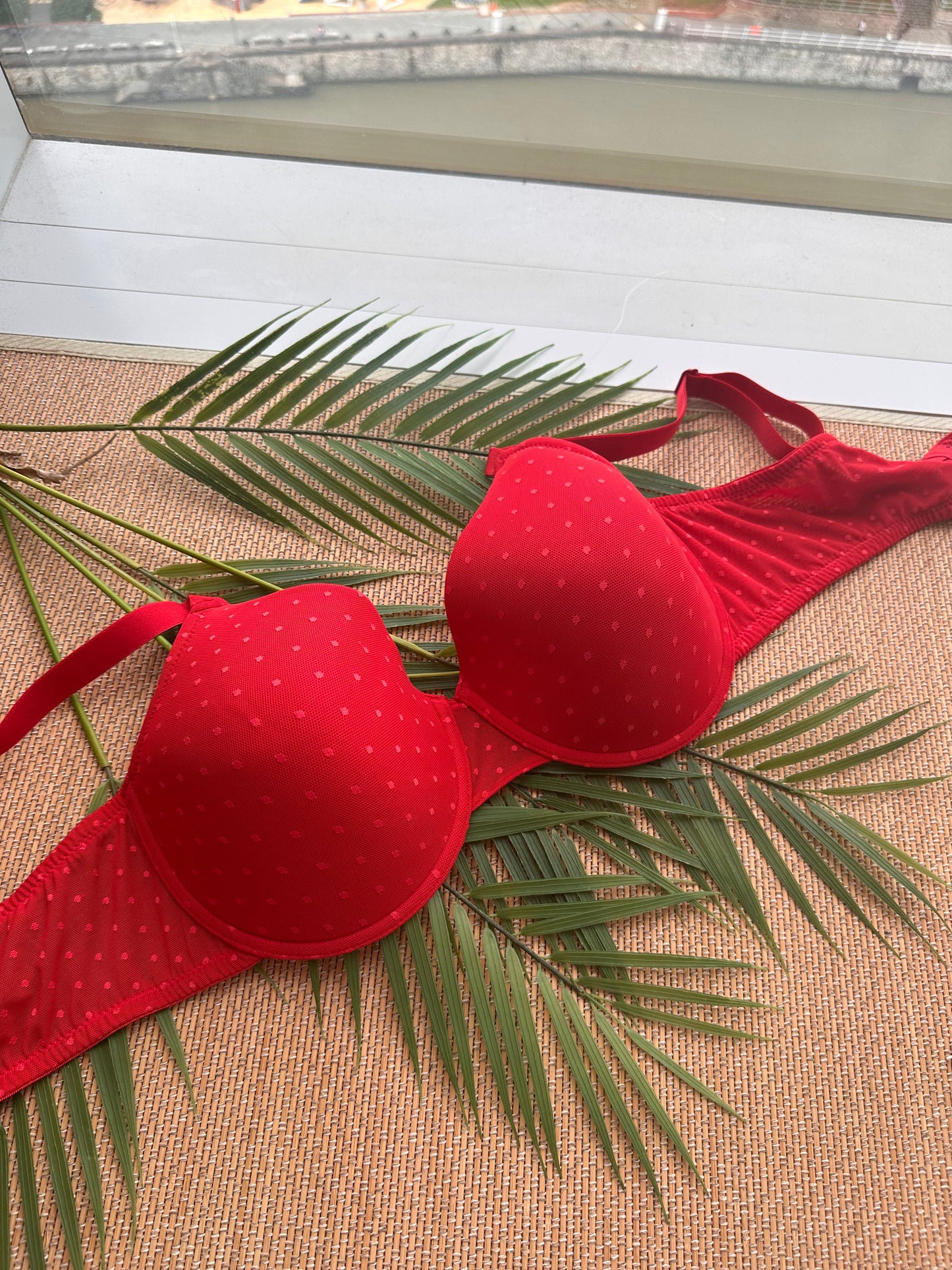 AK Red Polka Lace Lace Tshirt Plus Size Bra
