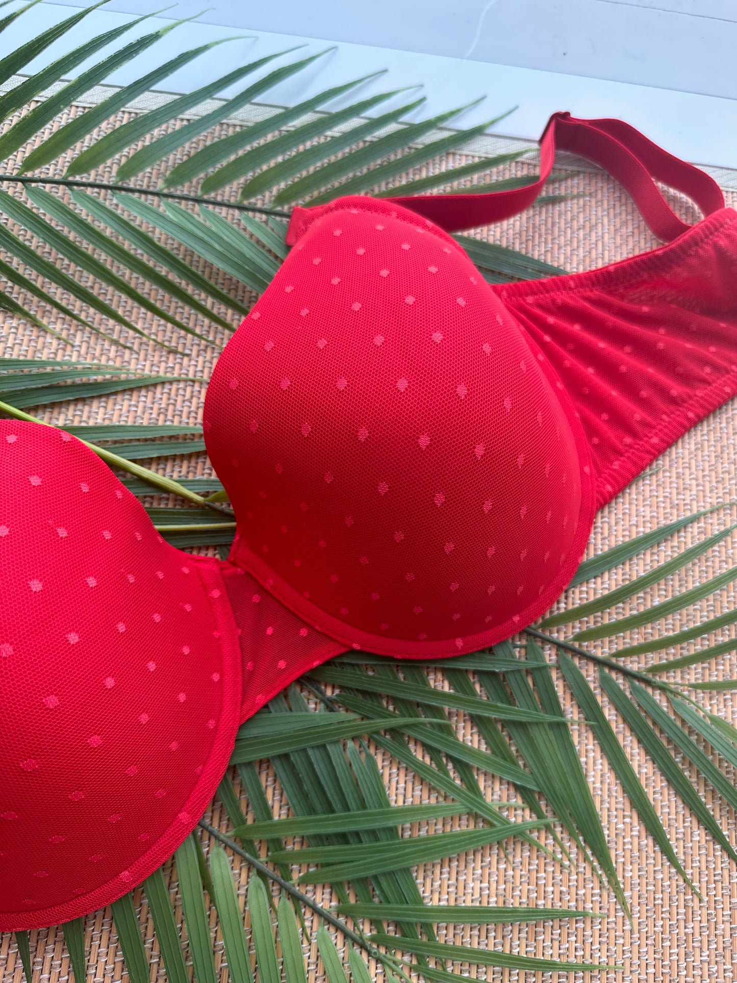 AK Red Polka Lace Lace Tshirt Plus Size Bra