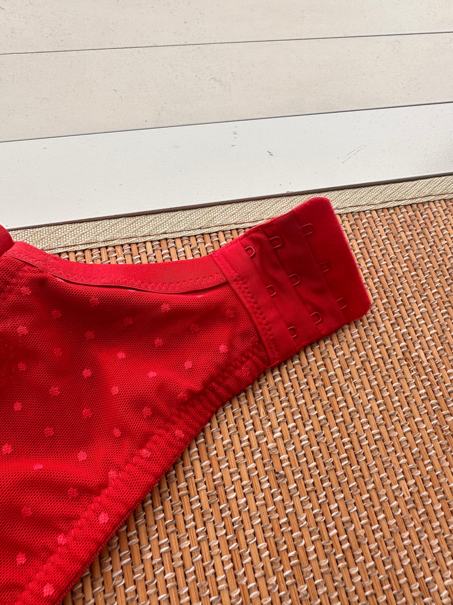 AK Red Polka Lace Lace Tshirt Plus Size Bra