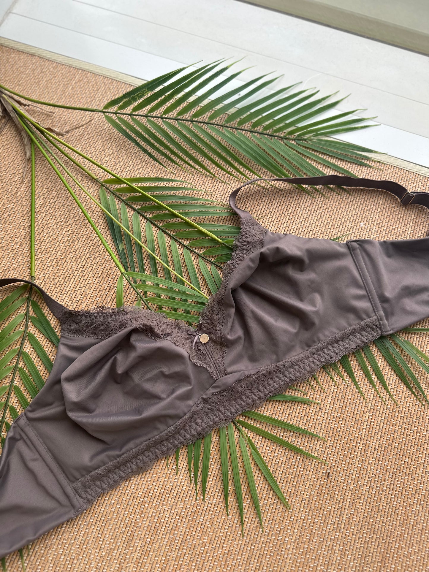 BD Taupe Wireless Seamless Plus Size Bras