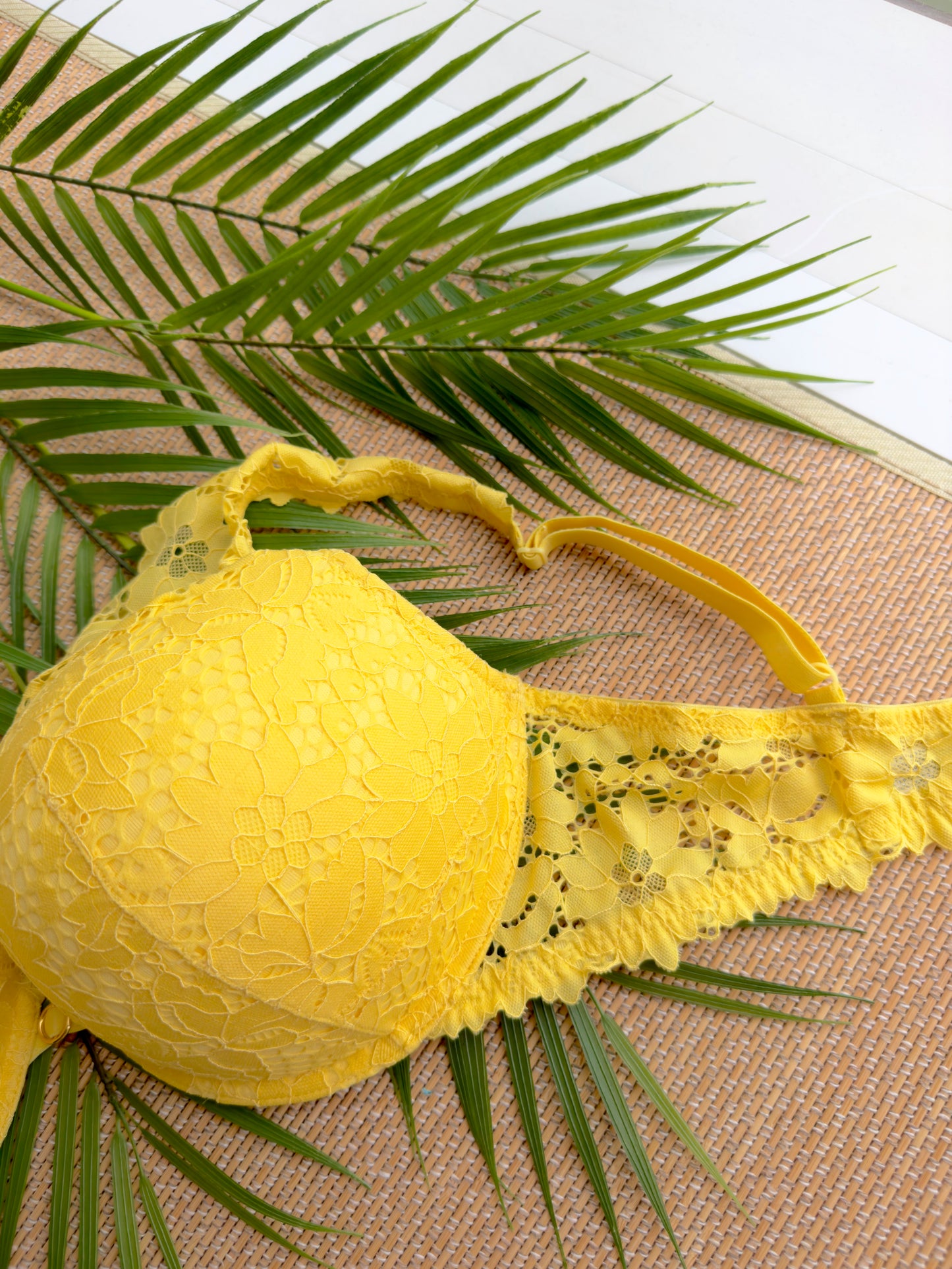 SI Add 2 Cups Pushup Bra