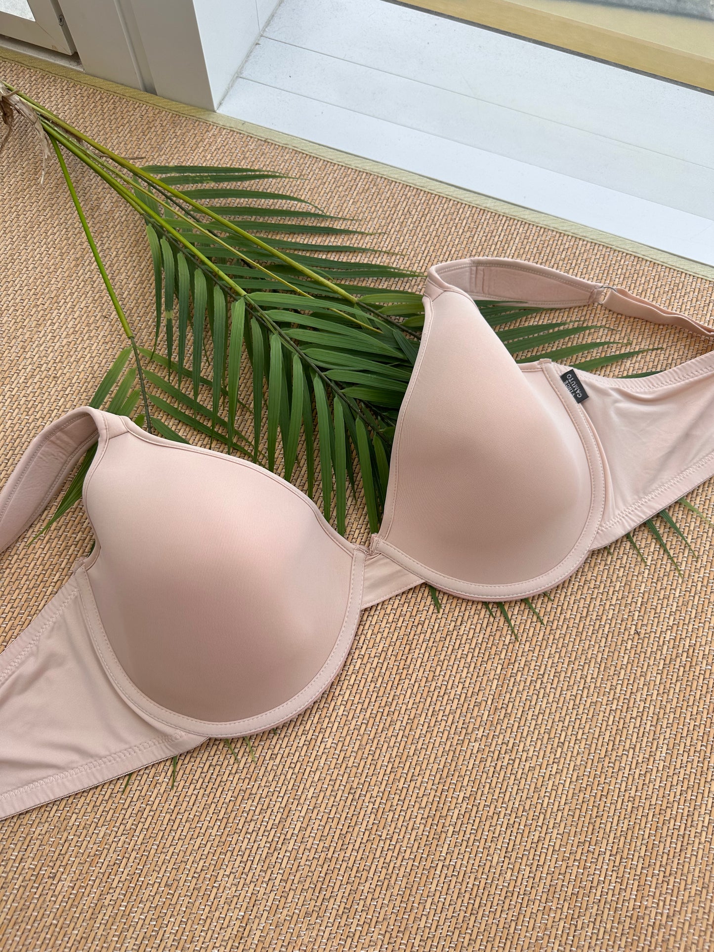 VC Warm Nude Tshirt Plus Size Bra