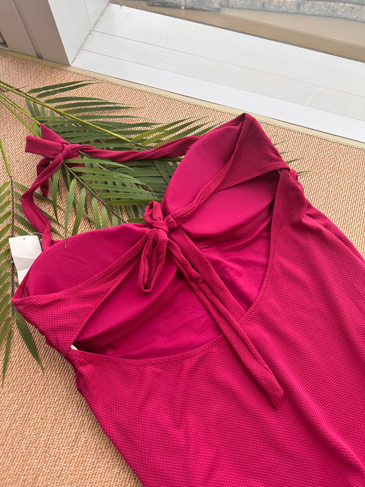 Raspberry Halter Tie Back Plus Size Swimsuit