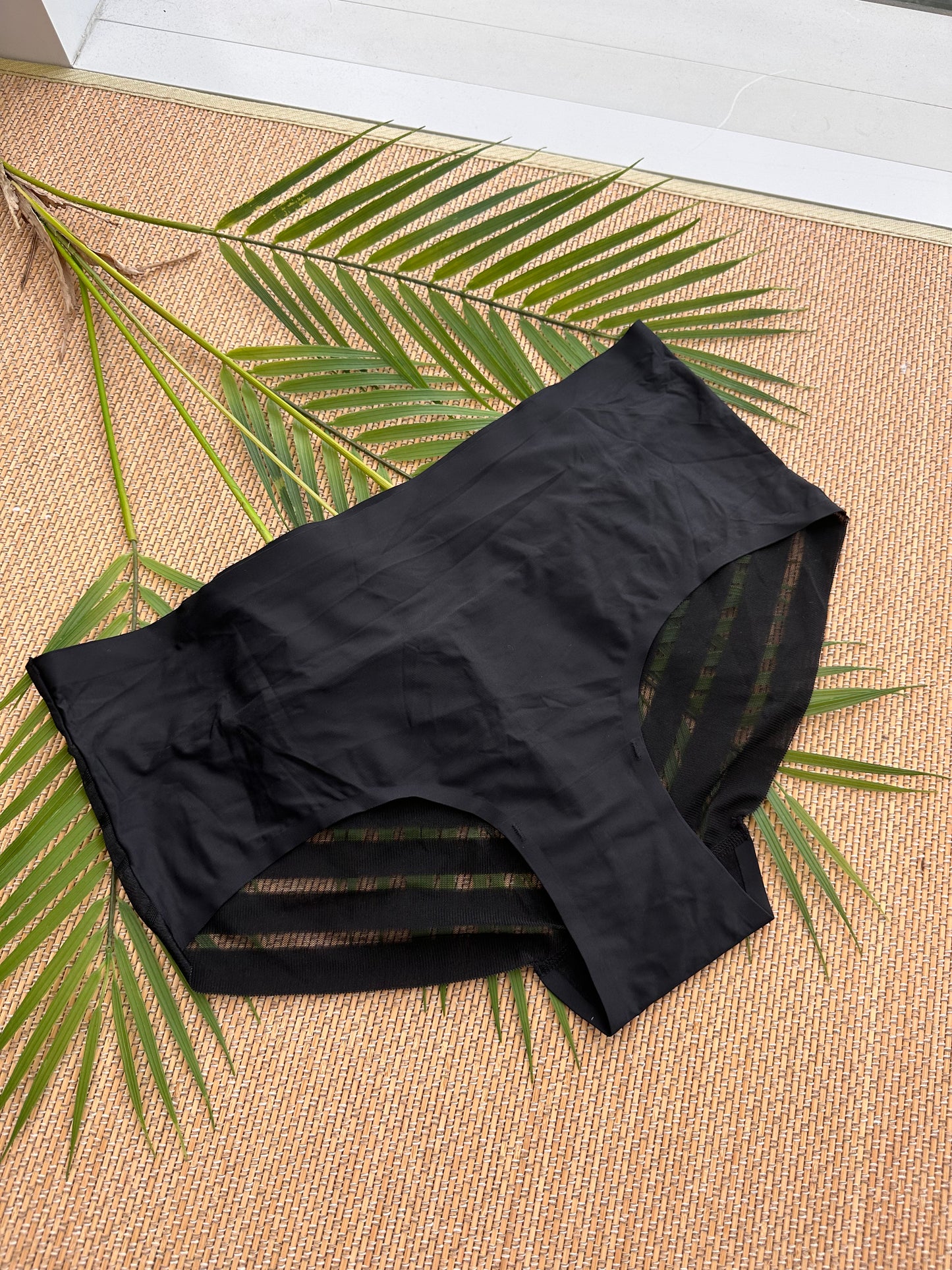 AO Black Seamless Smoothing Plus Size Panty