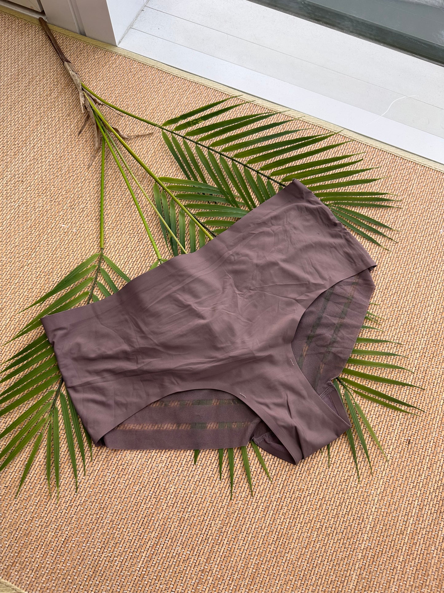AO Taupe Seamless Smoothing Plus Size Panty