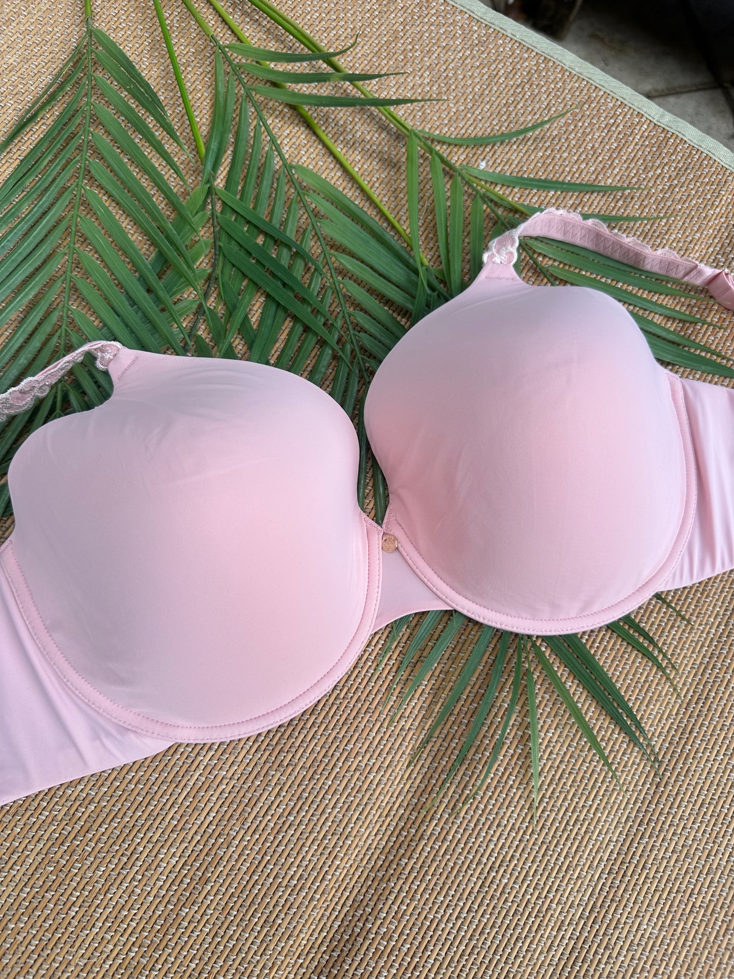 NT Baby Pink Buttery Soft Tshirt Plus Size Bra Singapore