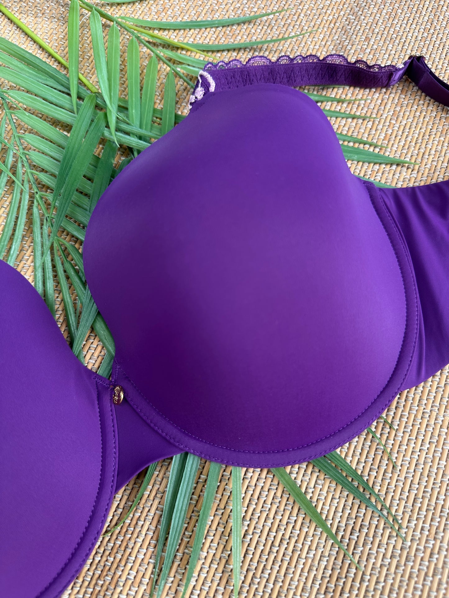 NT Bright Purple Buttery Soft Tshirt Plus Size Bra Singapore