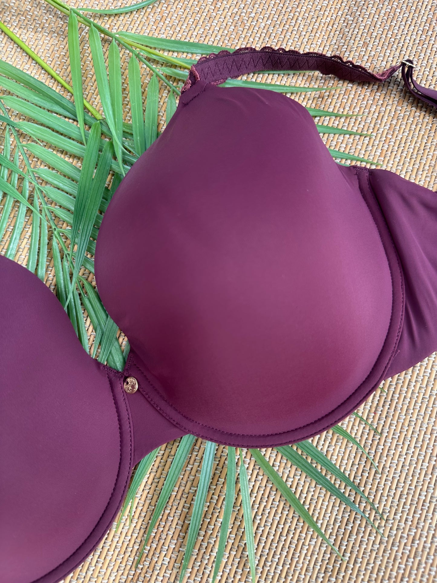 NT Maroon Buttery Soft Tshirt Plus Size Bra Singapore