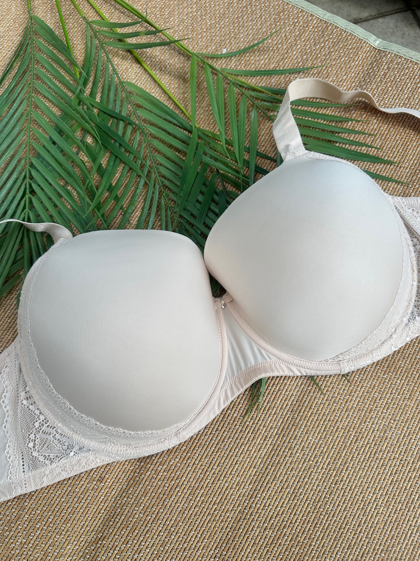 LS Peach Nude Lace Trim Bra Singapore