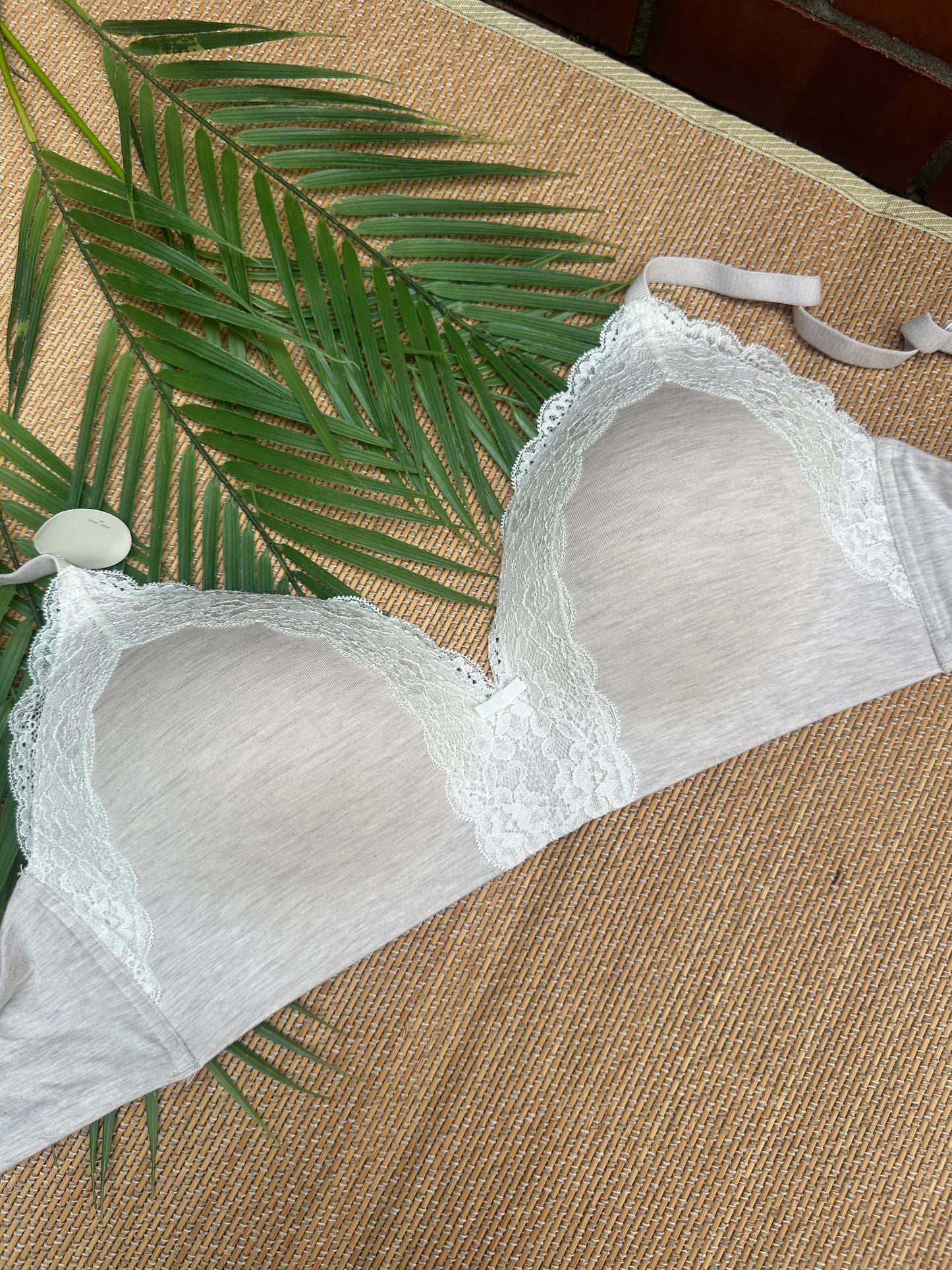 Nude White Lace Wireless Tshirt Plus Size Bra Singapore