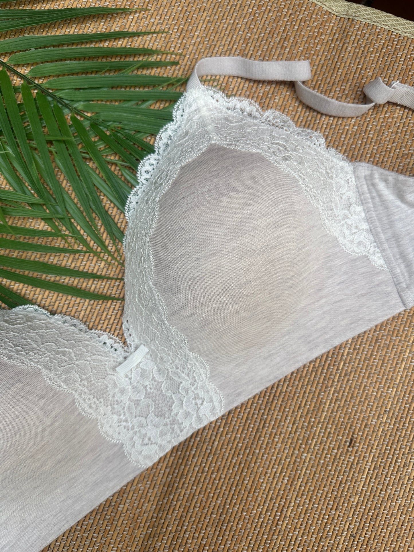Nude White Lace Wireless Tshirt Plus Size Bra Singapore