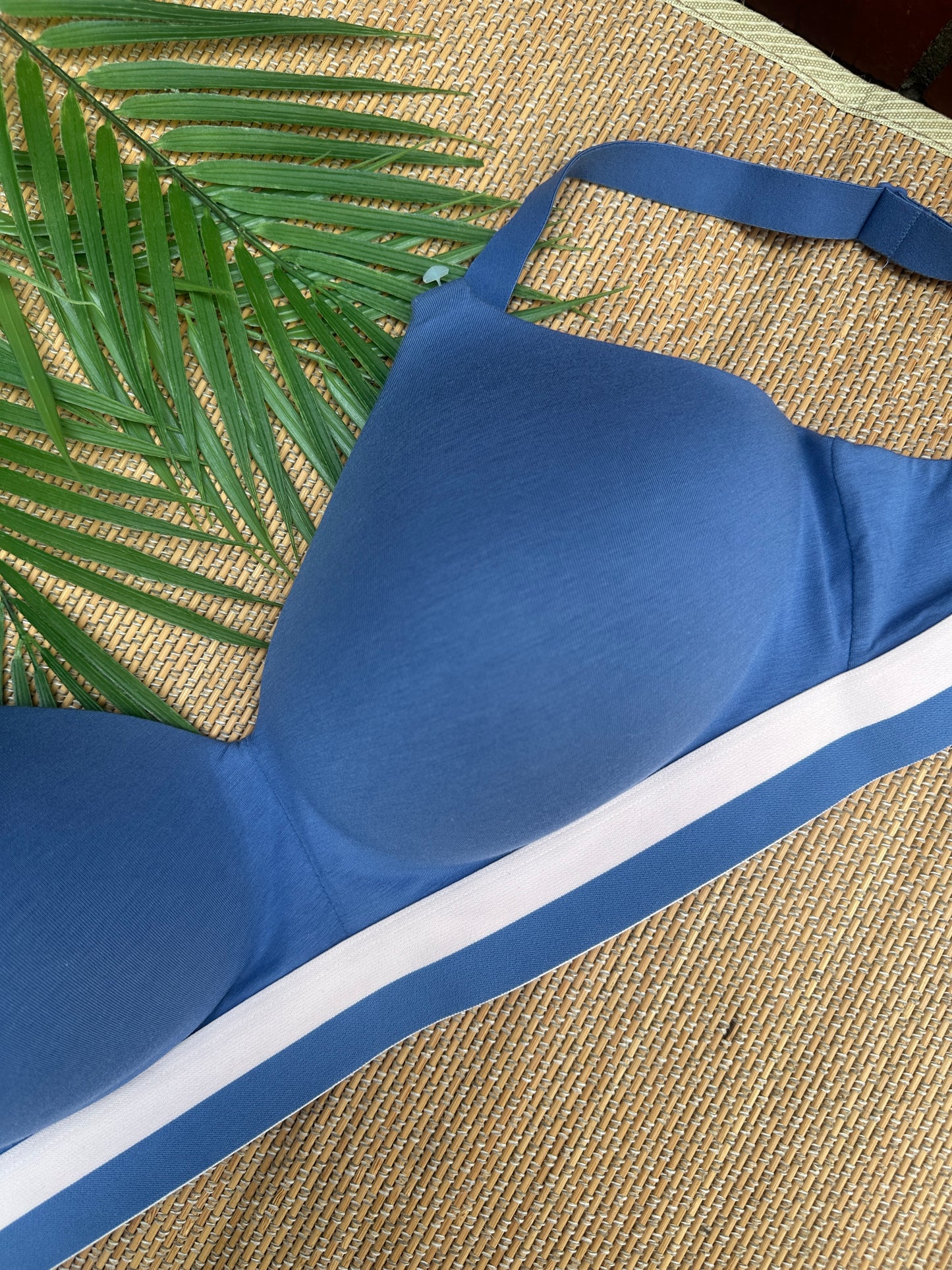 Blue Cotton Wireless Tshirt Plus Size Bra Singapore