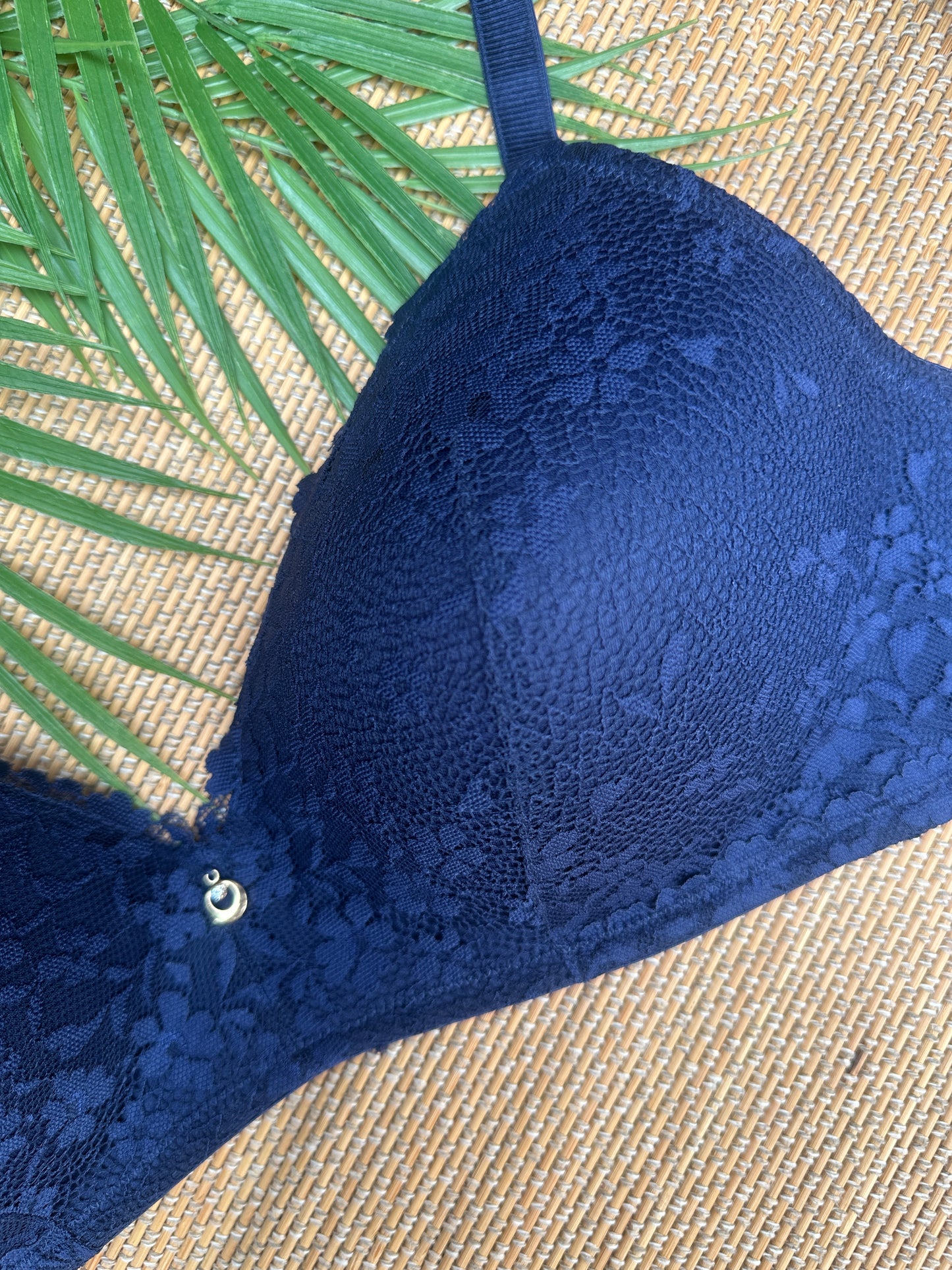 Blue Smooth Wireless Tshirt Plus Size Bra Singapore