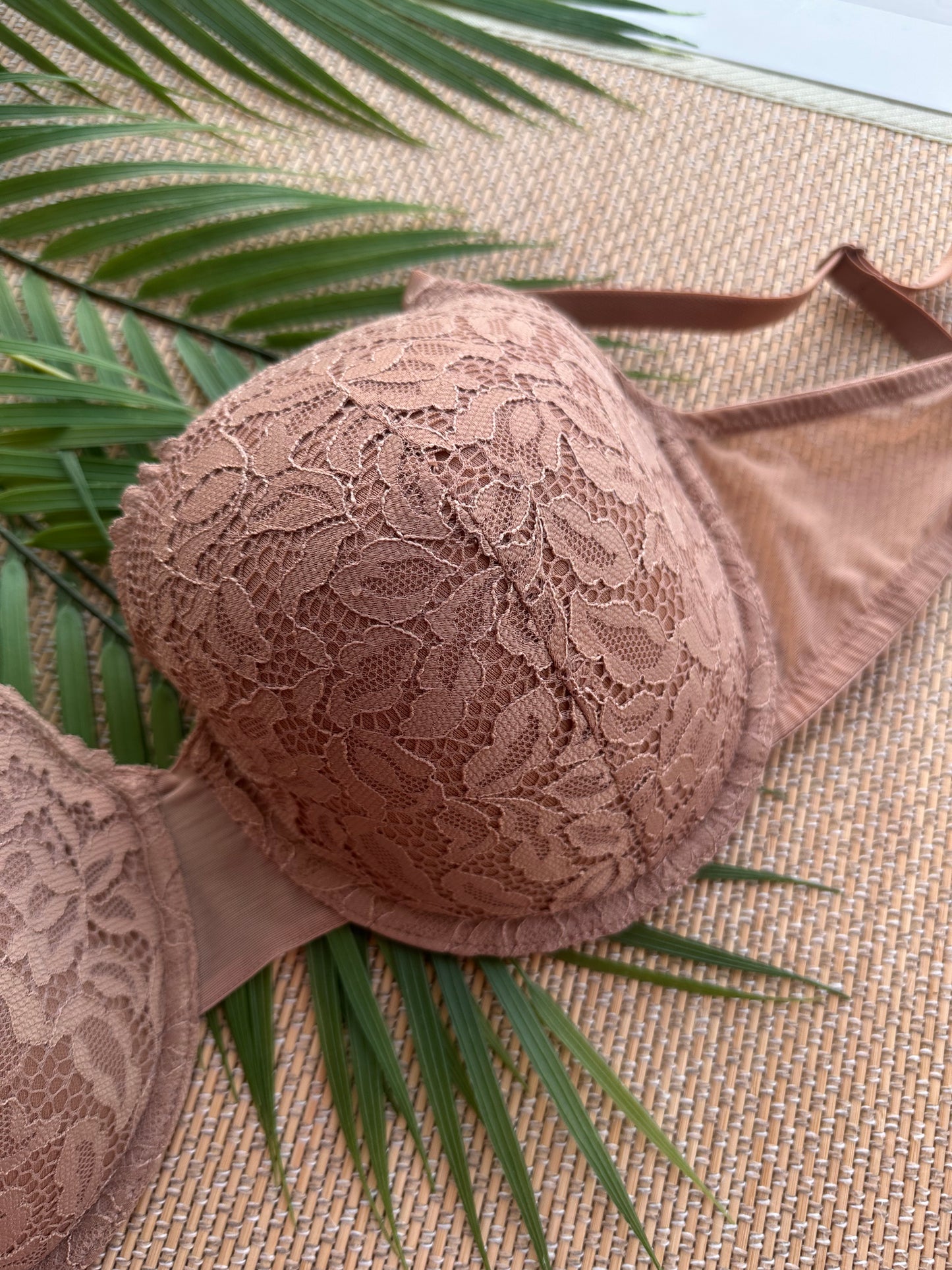 WW Brown Lace Tshirt Plus Size Bra