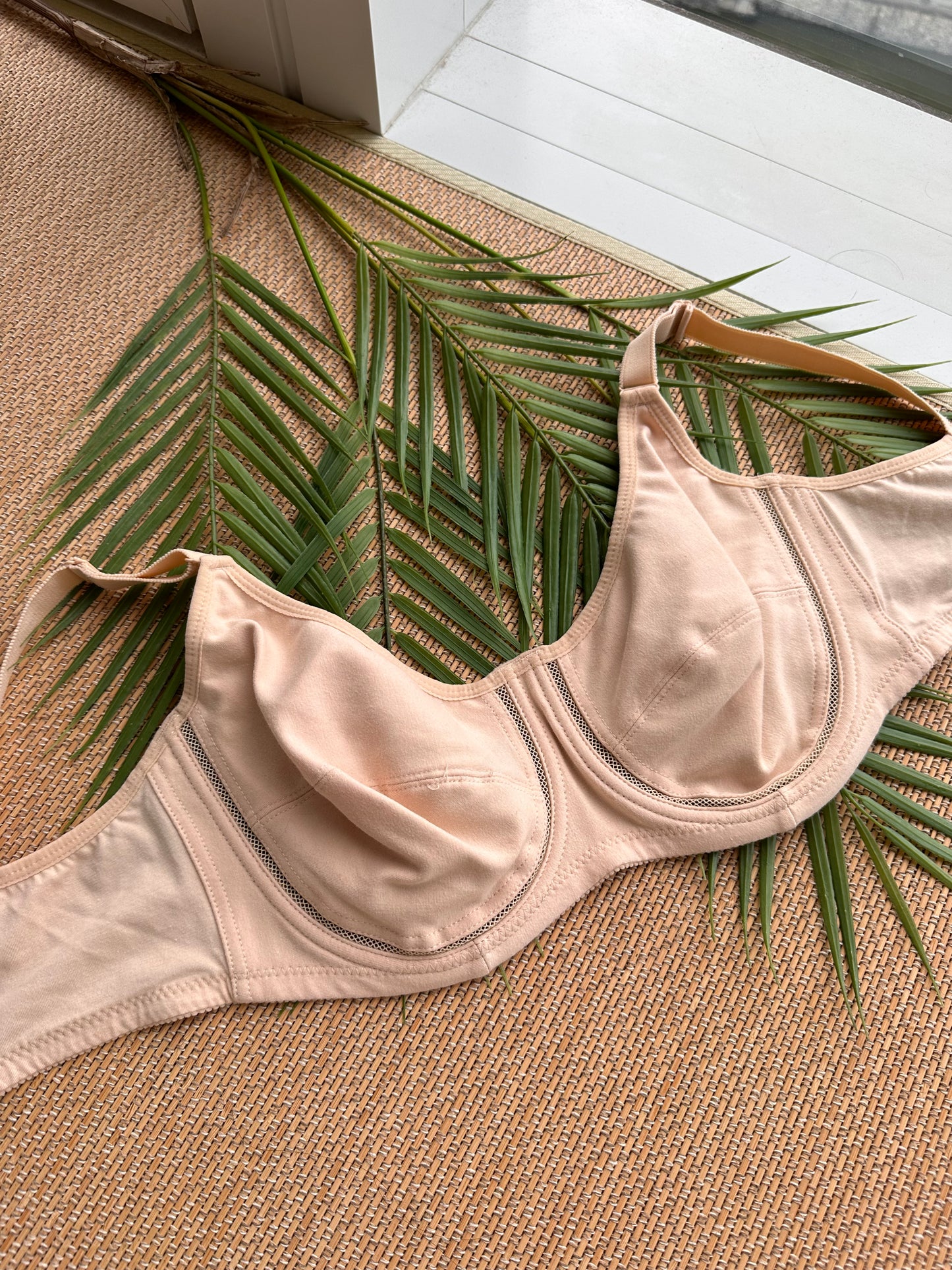 Nude Soft Cup Bra