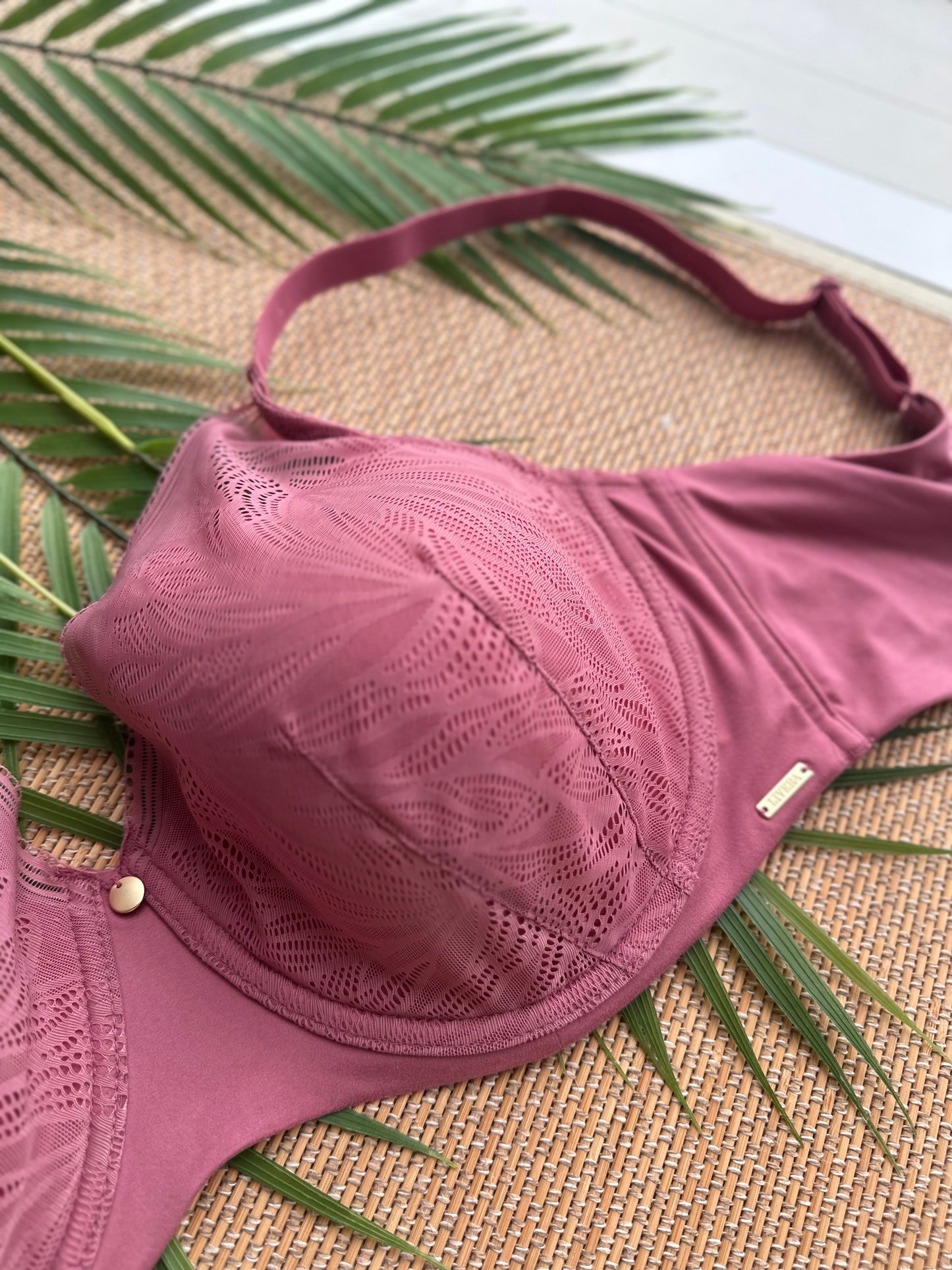 LE Mauve Modal Seamless Plus Size Bra